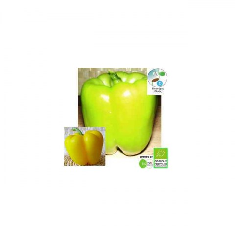 BIO Πιπεριά Quadrato d'Asti Giallo 0,3gr